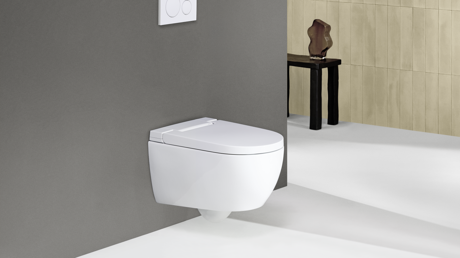 Geberit AquaClean Alba su Sigma20 nuotolinio valdymo pulteliu